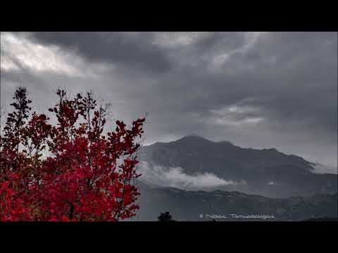 D-Emotion Project ‎– Sebastien's Song