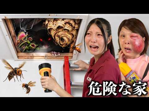【危険】屋根裏でオオスズメバチと食虫植物に母が刺された”妹は指を食べられて猛毒”