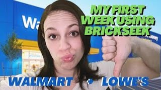 My First Week Using BrickSeek - Walmart & Lowe’s