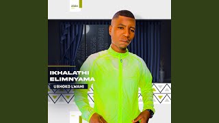 Download lagu UNonkotileka (feat. Gearbox Mtshali) mp3