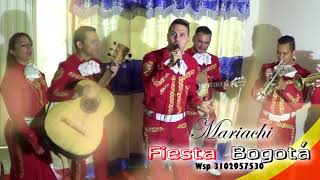 Video de Mariachi Fiesta Show Juvenil