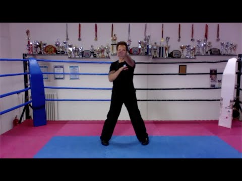 CRCA - Wing Chun Form - Biu Jee Set VII (Live)