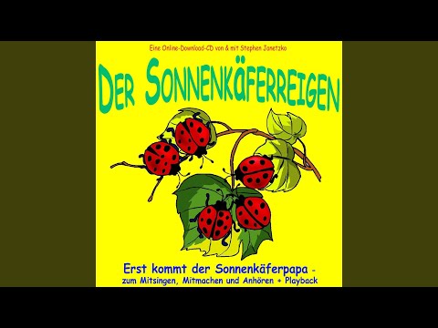 Erst kommt der Sonnenkäferpapa (Der Sonnenkäferreigen)