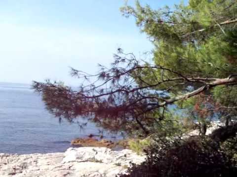 Croatia || Pula | Istrian coast Puntižela