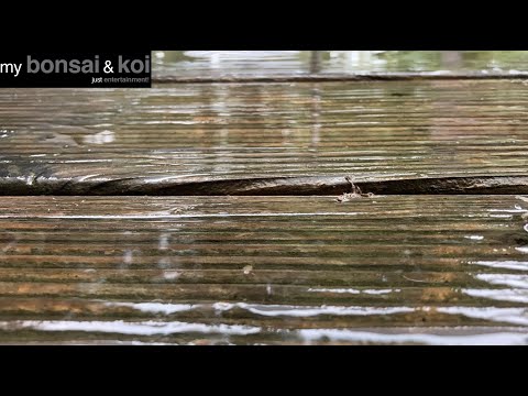 Urlaubsspielerei - Gestern am Bodensee. Es regnet. Schnell ins Trockene.
