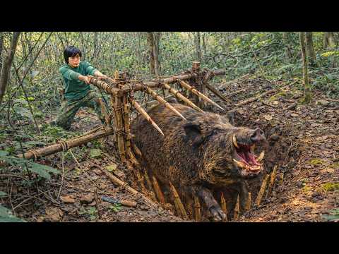 Solo Survival in Deep Forest: Tracking Wild Chicken Traces & Setting Smart Traps