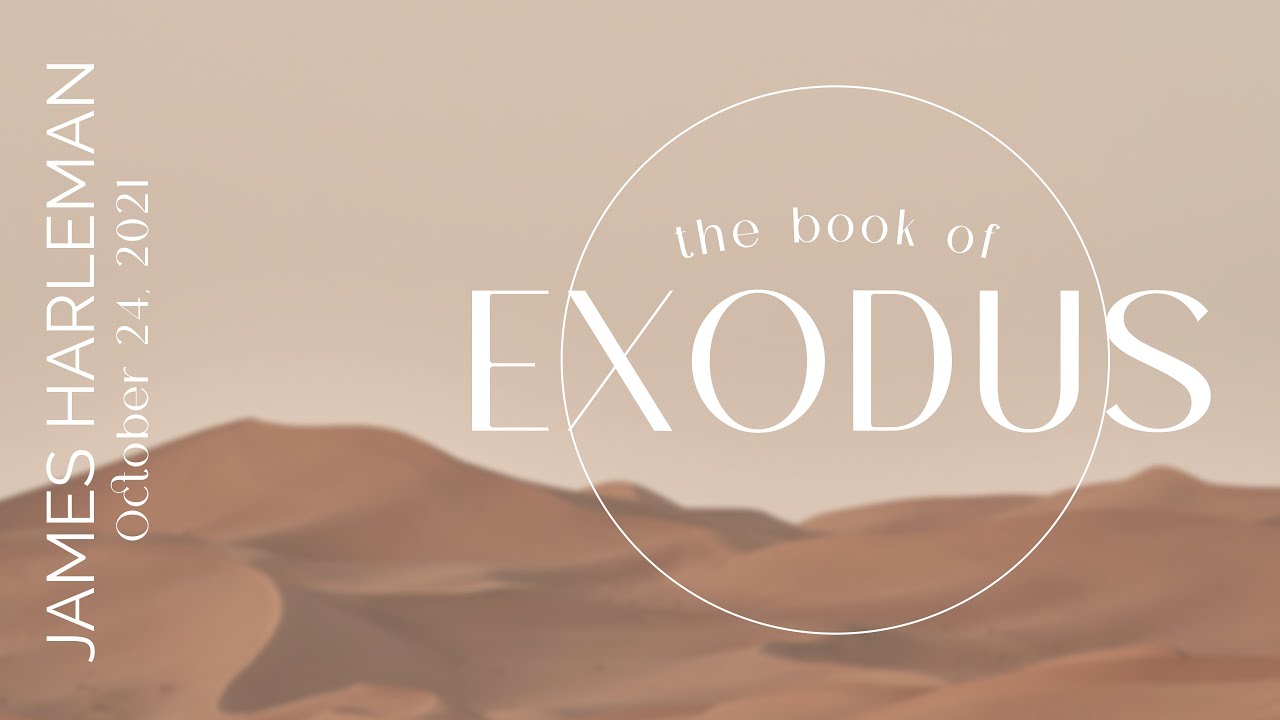 Exodus 40:1-33