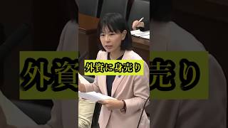 東京電力も外資に身売り!?　参政党桜井祥子（百田議員横座）が国会で杭を打つ。