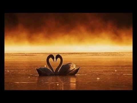 Ridgewalkers Featuring El ~ Find (Andy Moor Remix) ~ Lyrics