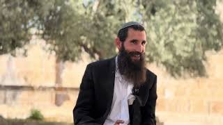 אנחנו בטוחים שנזכה לבנות את בית המקדש! • מדרשי חז"ל לתהילים מזמור ק"ב | הרב אלישע וולפסון (ישיבת הר הבית) - התמונה מוצגת ישירות מתוך אתר האינטרנט יוטיוב. זכויות היוצרים בתמונה שייכות ליוצרה. קישור קרדיט למקור התוכן נמצא בתוך דף הסרטון אנחנו בטוחים שנזכה לבנות את בית המקדש! • מדרשי חז"ל לתהילים מזמור ק"ב | הרב אלישע וולפסון (ישיבת הר הבית) - התמונה מוצגת ישירות מתוך אתר האינטרנט יוטיוב. זכויות היוצרים בתמונה שייכות ליוצרה. קישור קרדיט למקור התוכן נמצא בתוך דף הסרטון