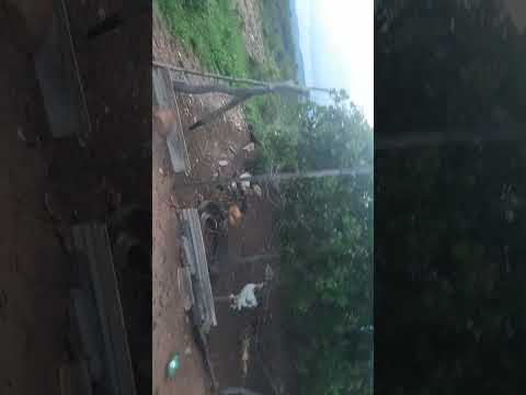 Sítio Costa DF Localidade Estreito Zona Rural de Colônia do Gurguéia-PI