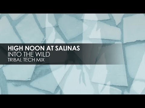 High Noon At Salinas - Into The Wild (Tribal Tech Mix)