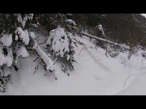 Traseu Predeal - Cabana Susai - Clabucetul Azugii - Valea Limbasel - Azuga