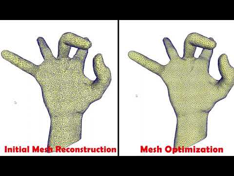 Mesh Reconstruction Result Demo
