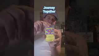 journey together #pokemon #pokemoncards #cards #tcg #pokemoncommunity #pokemontcg #rip #nintendo #pc
