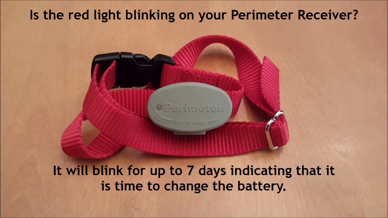 How and When to change the battery in your Perimeter receiver collar.