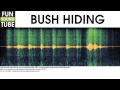 Bush Hiding Sound Effect