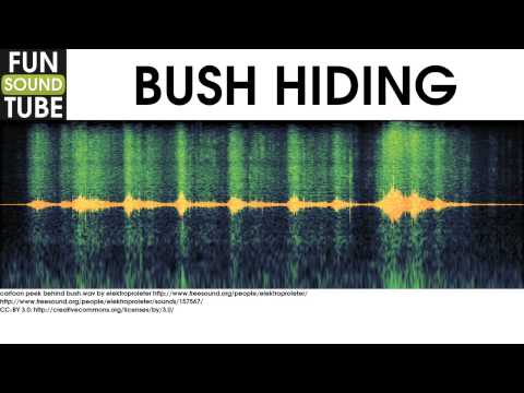 download lagu mp3 mp4 Bush Sound Effect, download lagu Bush Sound Effect gratis, unduh video klip Bush Sound Effect