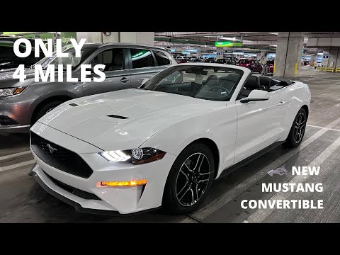 National Car Rental - Miami Airport (MIA) - April 2022 (Part 2) - Mustang Convertible ONLY 4 MILES!
