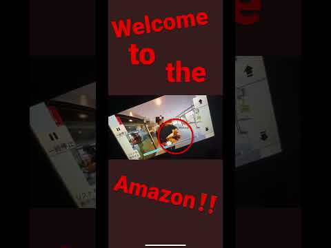 Amazonの配達時間と締め切り: 今すぐ詳細にご注意ください