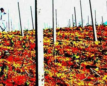 Ристо Вртев и Трајче Симоновски-Таци - Човек меѓу деца