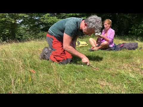 Nudi e crudi Reggio Emilia