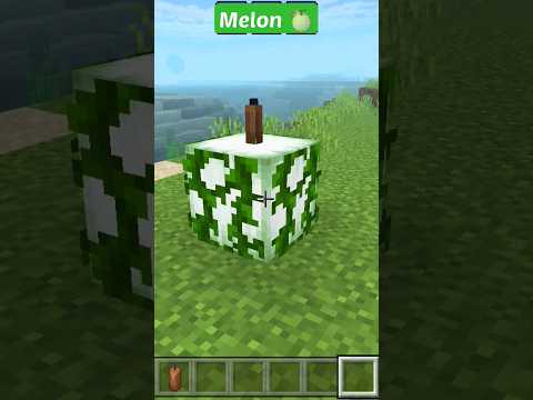INSANE Minecraft Melon Build! 🍈 #EPIC