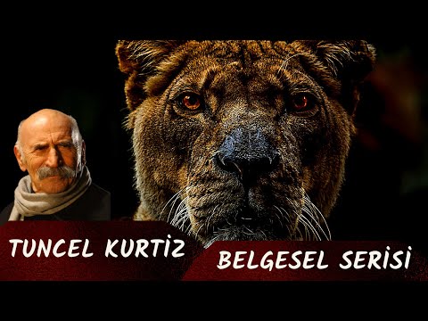 Belgesel - 1 Tuncel KURTİZ