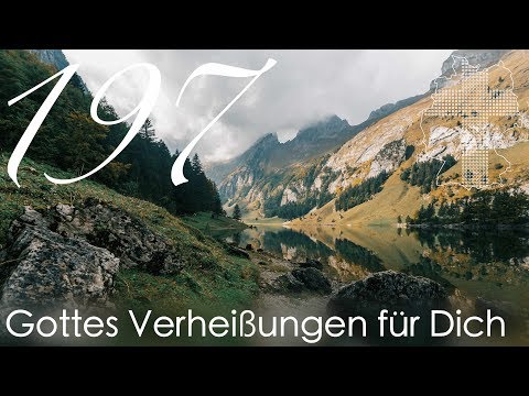 Gottes Verheißungen für Dich - Matthäus 7,7 | Videokalender 197/365 - Deutschland braucht JESUS