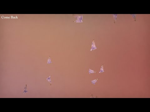 Sharon Van Etten - Come Back (Lyric Video)