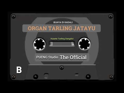 ORGAN TARLING JATAYU || BUAYA DI KADALI