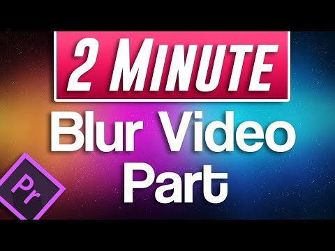 Premiere Pro : How to Blur Part of Video