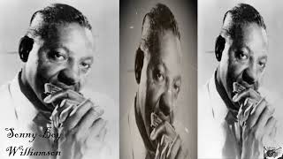 Sonny Boy Williamson II   The Sky Is Crying