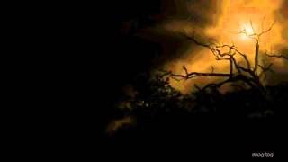 2Hrs Haunted Forest ~ Scary Sounds of Ghosts in the Darkness ~ 2 Hours