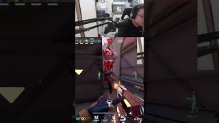 ネオンACE