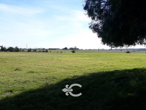 Video de YouTube - Chacra en venta en Canelones ref. 9075
