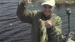 preview picture of video 'Bass and Pike at Akwesasne - Don Meissner with Will and Dave - Part 2'