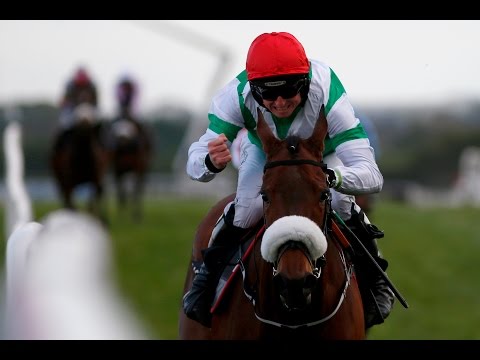 Fayonagh - Champion I.N.H Flat Race