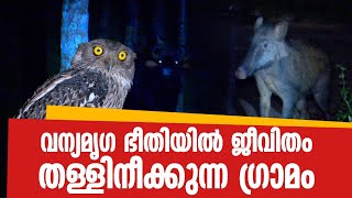 വന്യമൃഗ ഭീതിയിൽ ജീവിതം തള്ളിനീക്കുന്ന ഗ്രാമം; വിതുരയിലെ ആനപ്പാറയിൽ നിന്നുള്ള അപൂർവ ദൃശ്യങ്ങൾ video