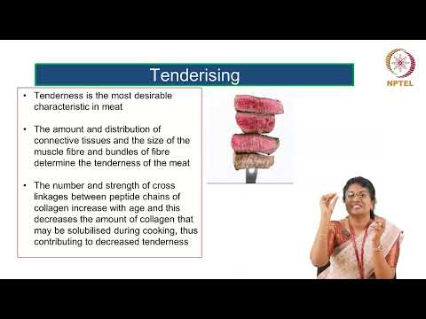 Meat Fish and Poultry