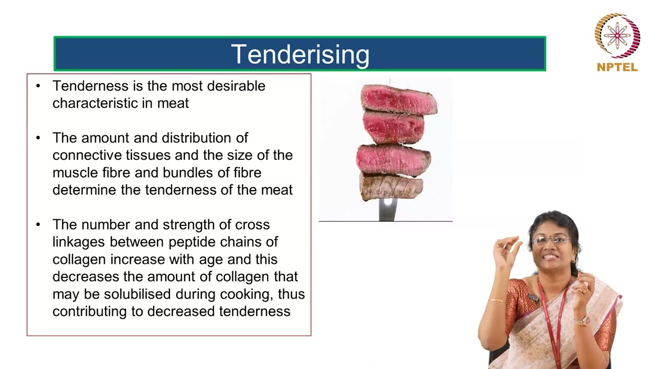 Meat Fish and Poultry