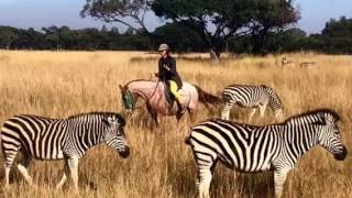 Layover Life - Harare