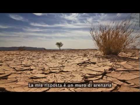 TEDItalia - Magnus Larsson: trasformare le dune in architettura