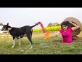 Happy New Year 2024 Must Watch New Special Comedy Video 2023  Episode 248 by Busy fun ltd