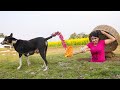 Happy New Year 2024 Must Watch New Special Comedy Video 2023 Episode 248 By Busy Fun Ltd