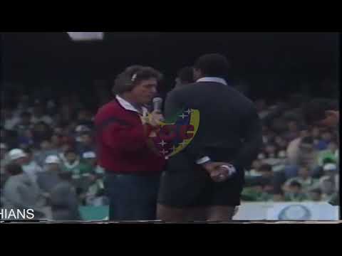 FINAL PAULISTÃO 1993 - PALMEIRAS 4 X 0 CORINTHIANS - 2 JOGO