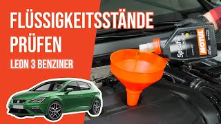 Youtube thumbnail of video "Die Flüssigkeitsstände prüfen Leon 3 1.5 TSI 📏"