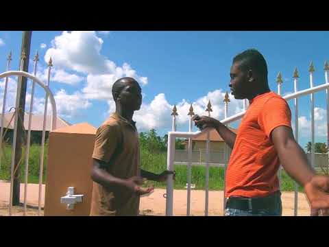 Waka Libi Reggie Jah Bless ft The New Friends