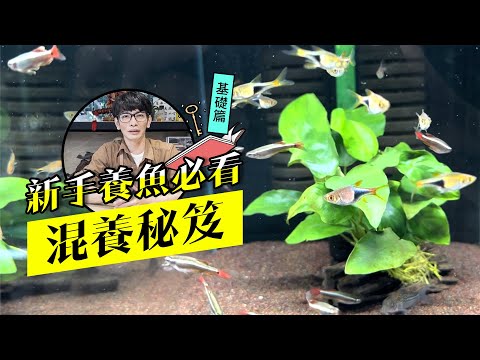 養魚