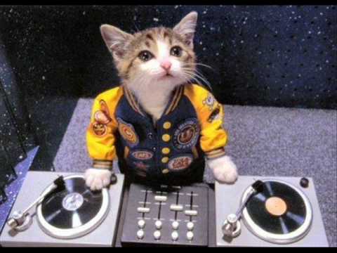 Baggi Begovic & The Wizard Brian Coxx - Chaos / My Dream (Rick Otten mashup)